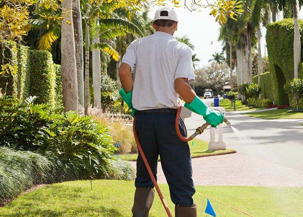 About Salem AL Pest Control